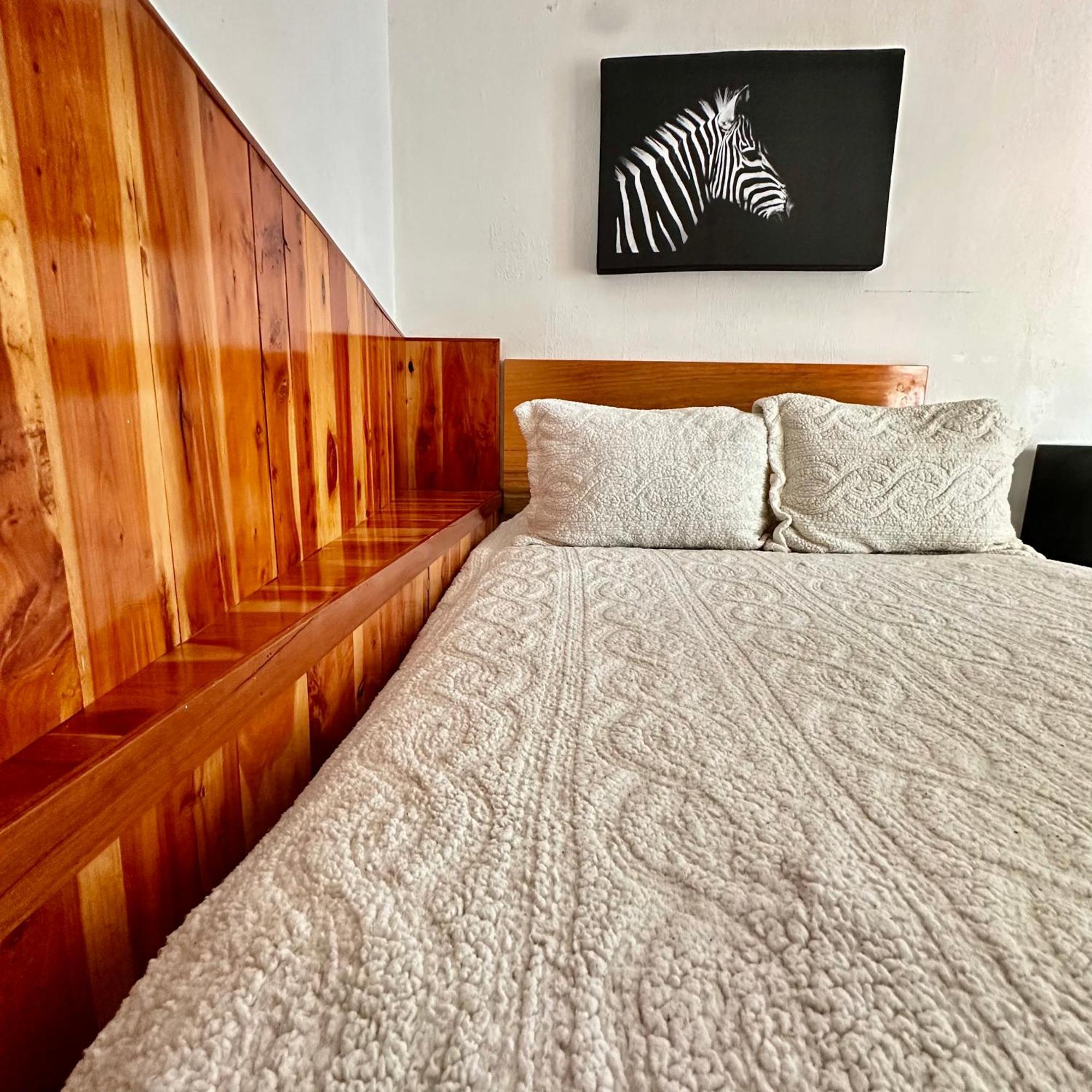 La Etelvina Suites San Cristóbal de Las Casas Eksteriør billede